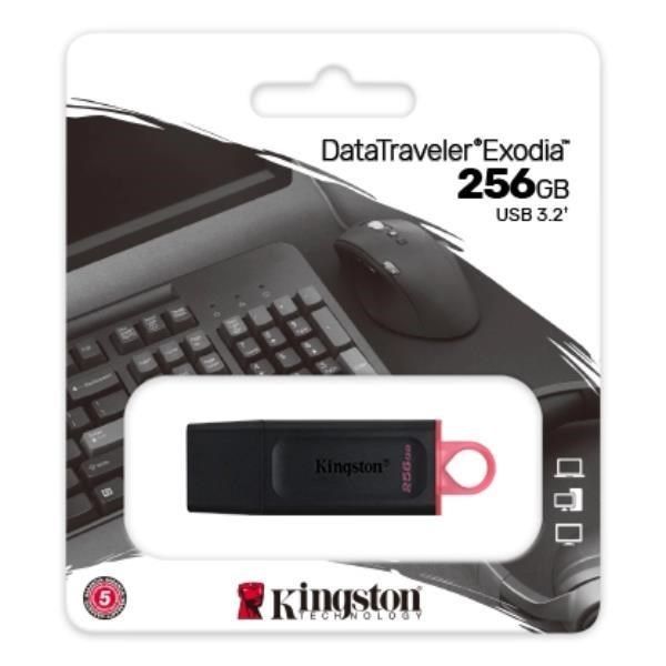 PEN DRIVE USB Flash 256GB Kingston DTX USB 3.2